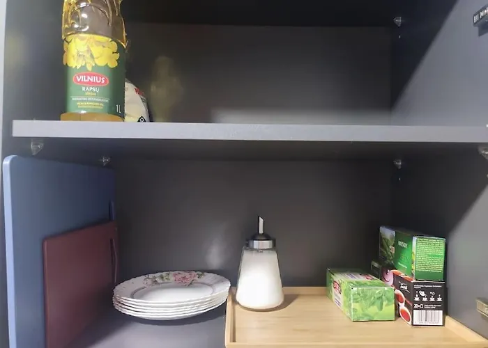 Appartement Castle Kaunas